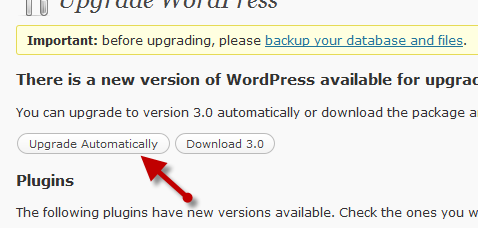 Upgrade WordPress 3.0 Automatically Upgrade WordPress 3.0 Automatically